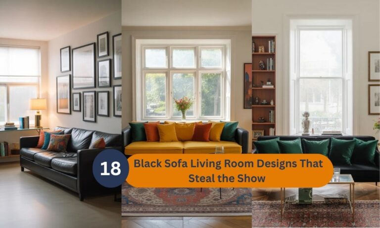 Black Sofa Living Room Designs