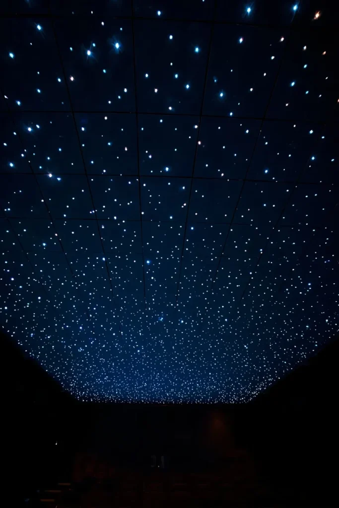 Starlit Ceiling Panels